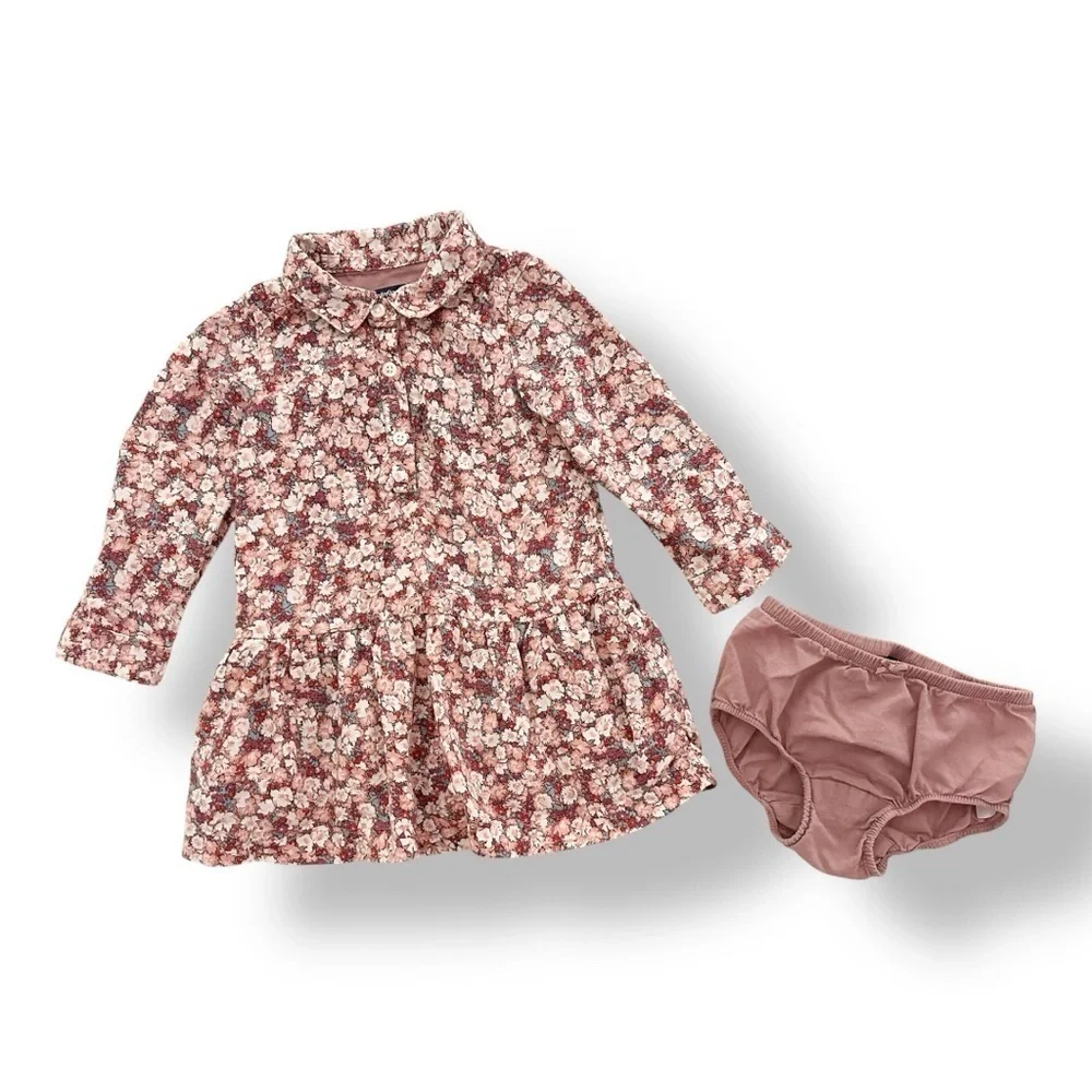 baby GAP | Floral Drop Waist Shirt Dress (18-24 mos)